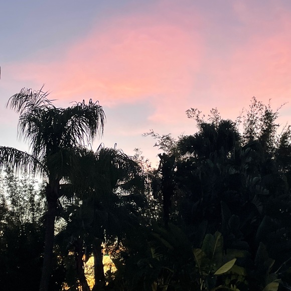 Meet your Posher, ALM Resale! - Picture 1 of 1